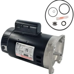 Pool Weasel 2 Replacement Pump Motor and kit