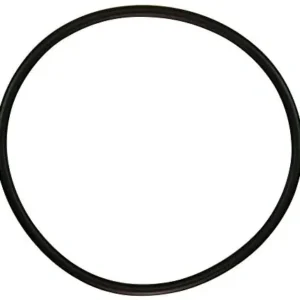 Pool Weasel 2 Lid Gasket