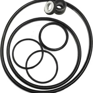 Pool Weasel 2 Pump Gaskets Set
