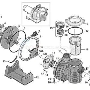 Pool Weasel 2 Pump Schematic