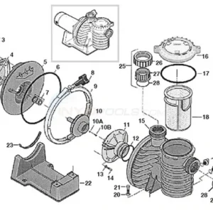 Pool Weasel 2 Pump Schematic